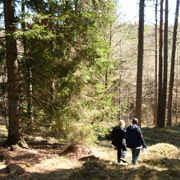 Människor i skogen. Foto: Ulrika Lagerlöf
