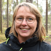 Lena Sandell, Skogsstyrelsen