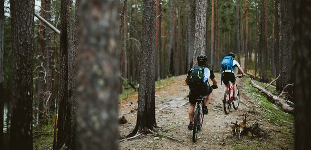 Cyklister i skog. Foto: Matilda Holmqvist