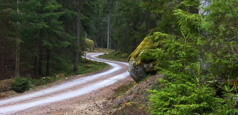 Slingrande skogsväg. Foto: Mostphotos