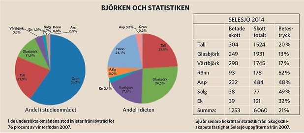 Björken och statistiken